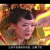什么生肖摇头摆尾
